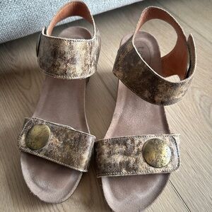 Taos Footwear Brown Sandals with Ankle Straps